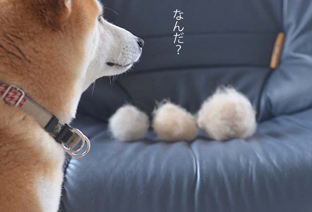 14日ブログ3