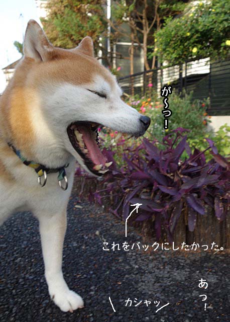 4日ブログ3