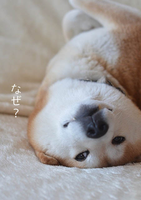 3日ブログ19