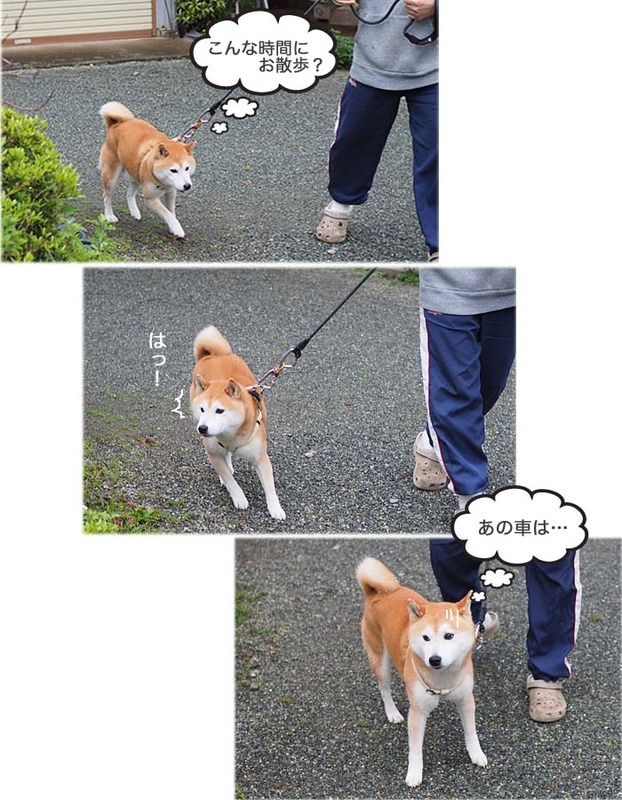 2日ブログ４