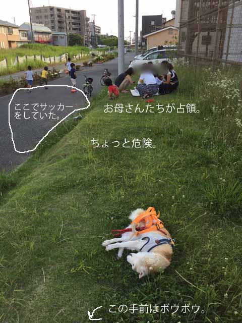 23日ブログ3