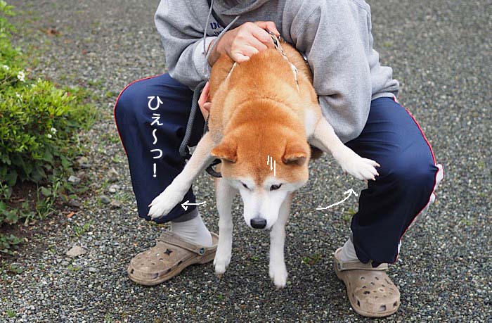 2日ブログ６