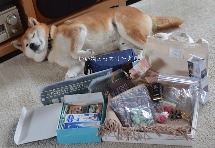 10日ブログ3