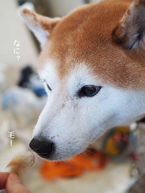 15日ブログ5