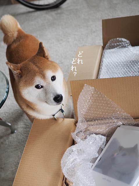 29日先ブログ3