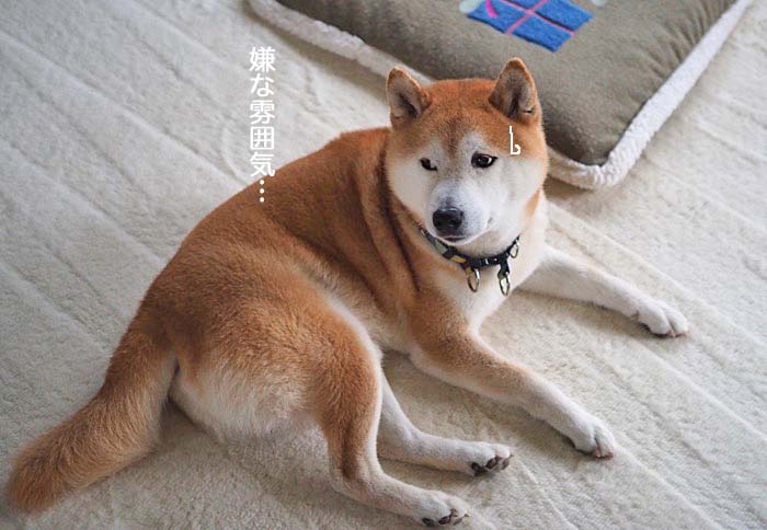 2日ブログ３