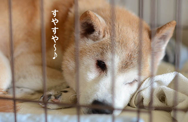 18日ブログ5