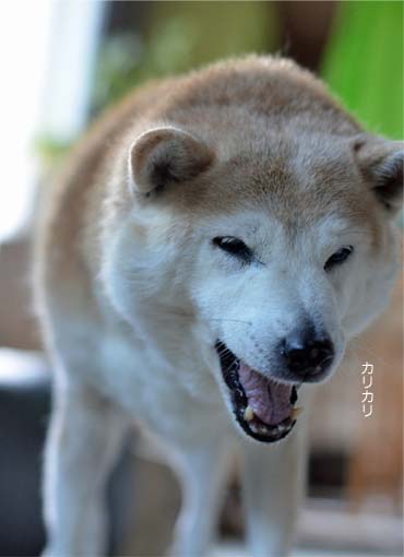 25日ブログ6.jpg