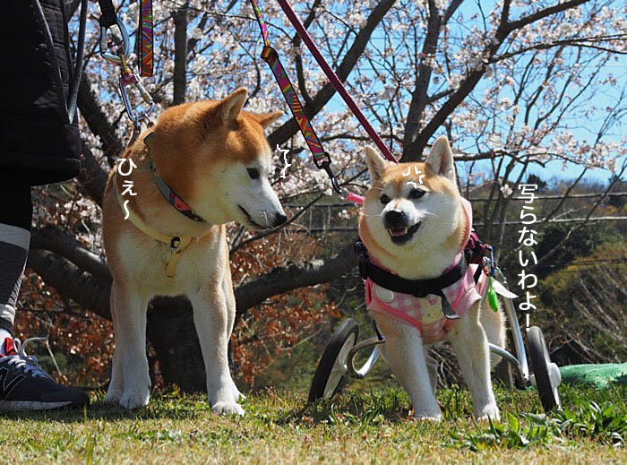 4日午後ブログ７