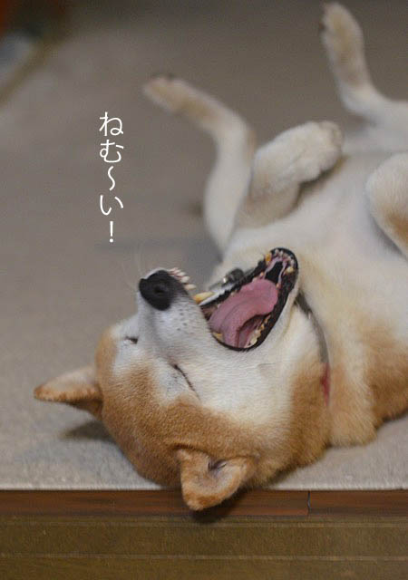 27日ブログ5
