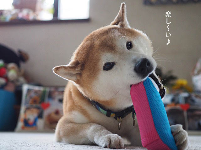 28日ブログ4