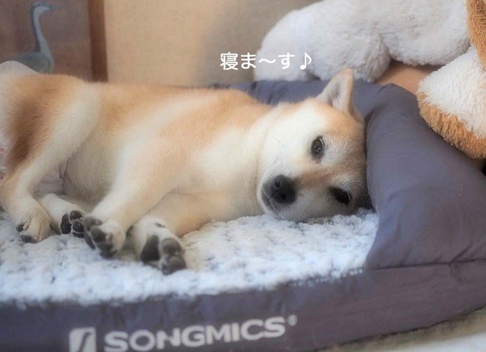 8日ブログ7