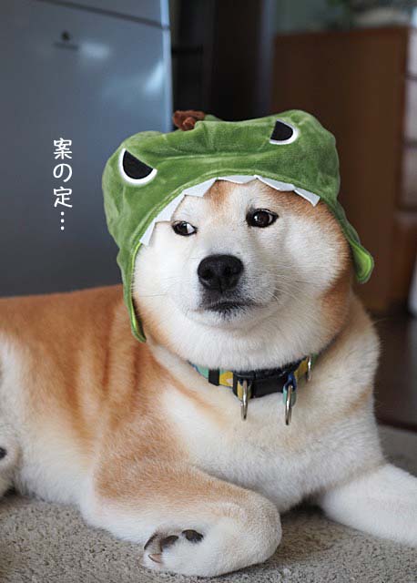 11日ブログ3