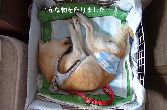 15日ブログ7