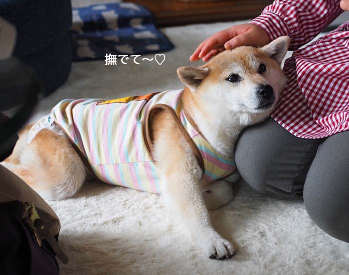 17日夜ブログ７