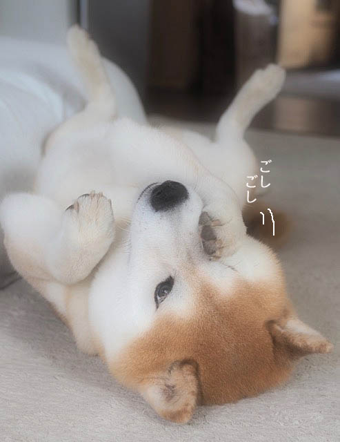 7日ブログ7
