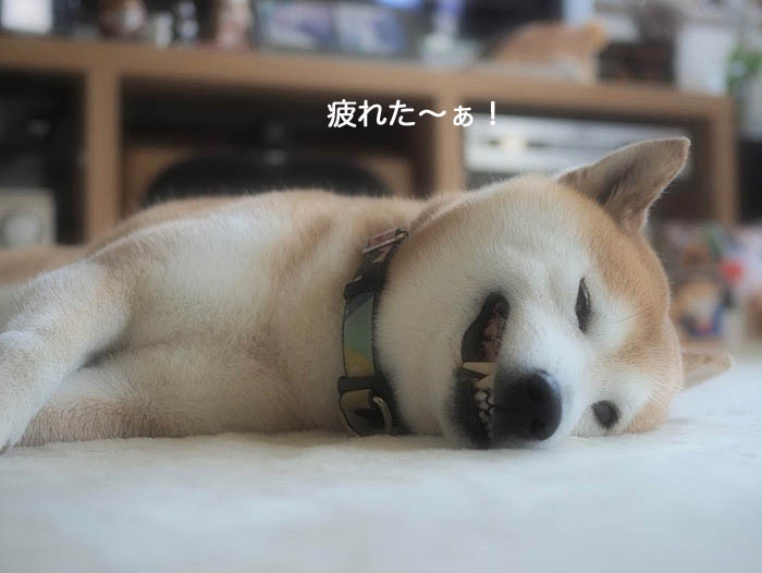 8日ブログ８