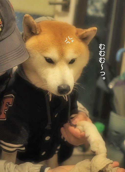10日朝ブログ4