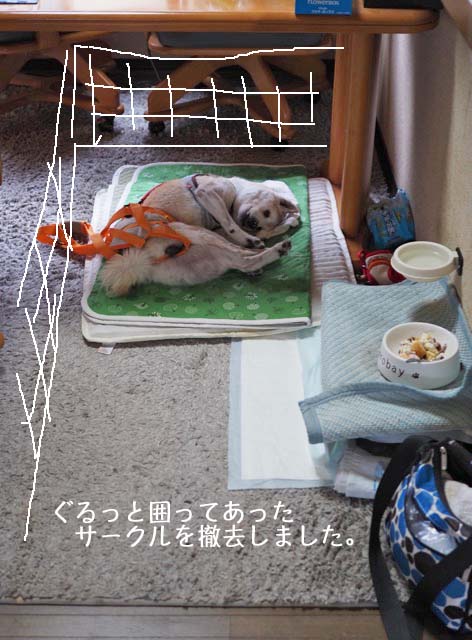 19日ブログ6