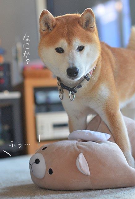 10日のブログ7