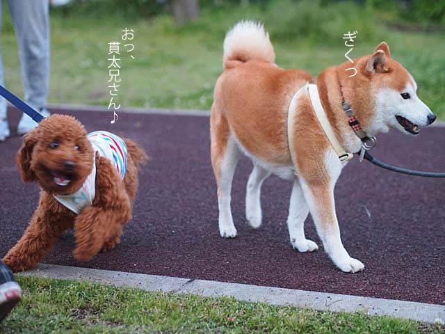 3日ブログ14