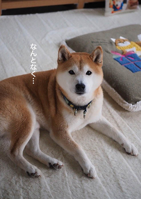 2日ブログ２