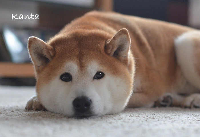 12日ブログ2