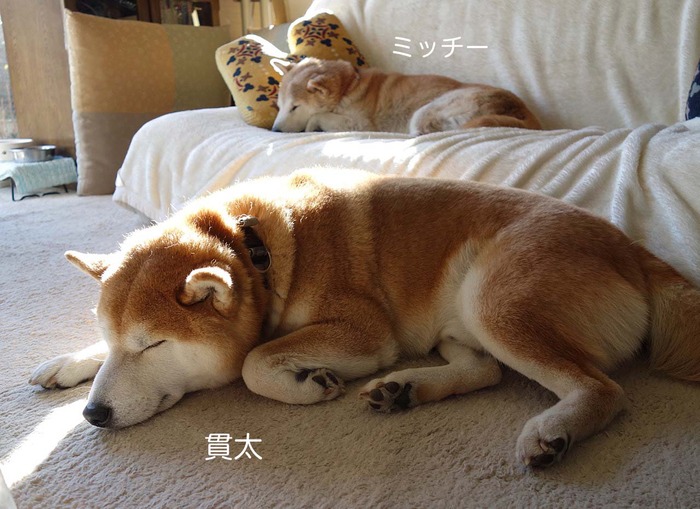 20日ブログ3