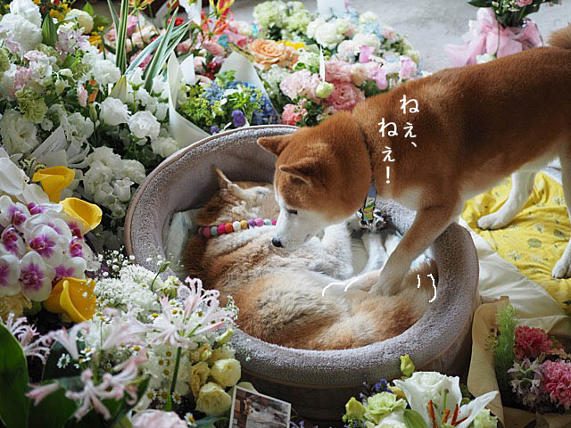 27日ブログ3