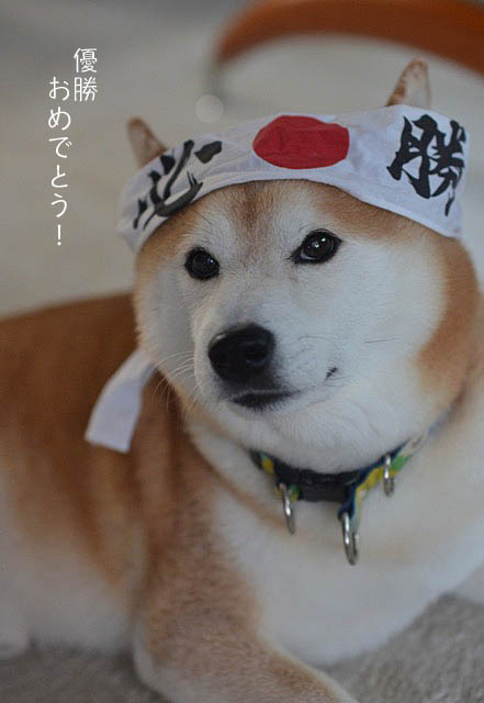7日ブログ3