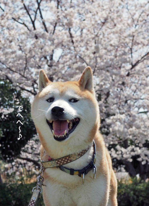 10日午後ブログ１３