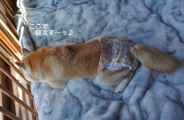 20日ブログ２