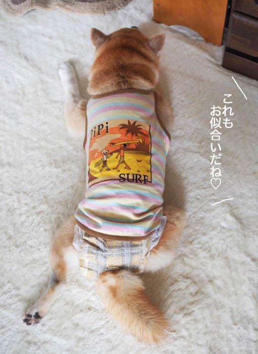 17日ブログ６