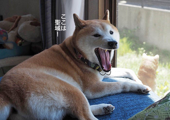 20日ブログ１０