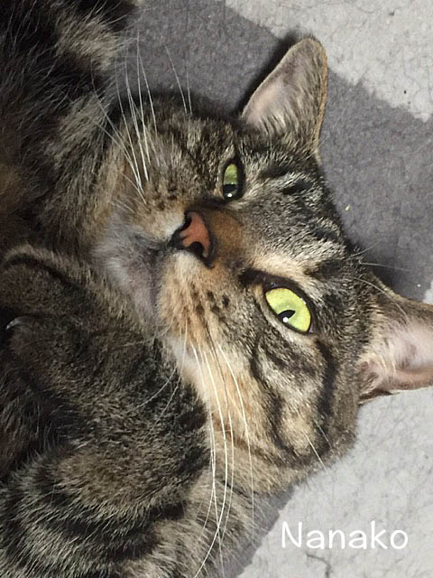 9日ブログ8