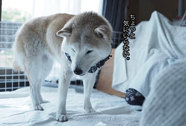 7日ブログ3