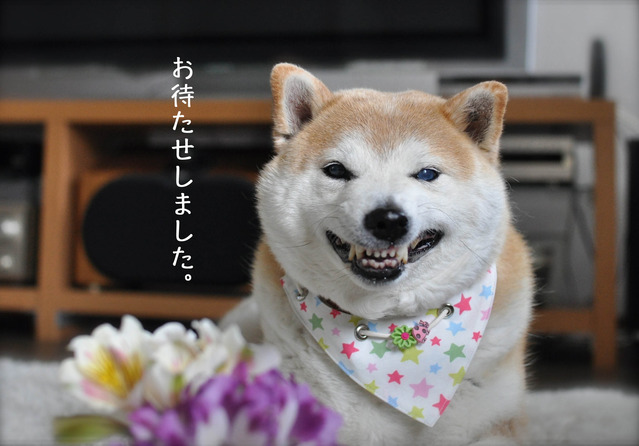 3日ブログ8