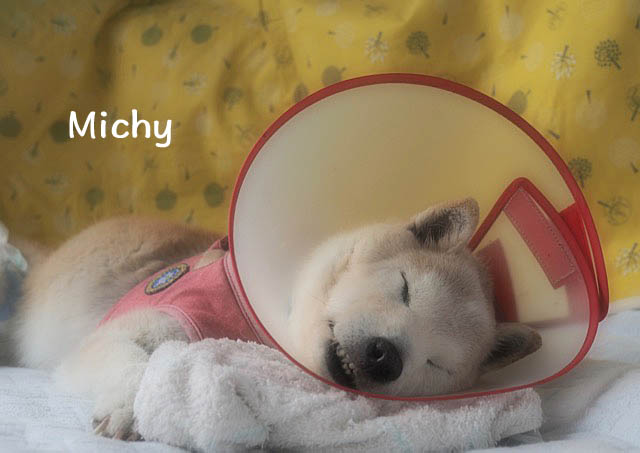 7日ブログ4