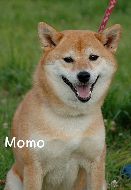 2日ブログ7