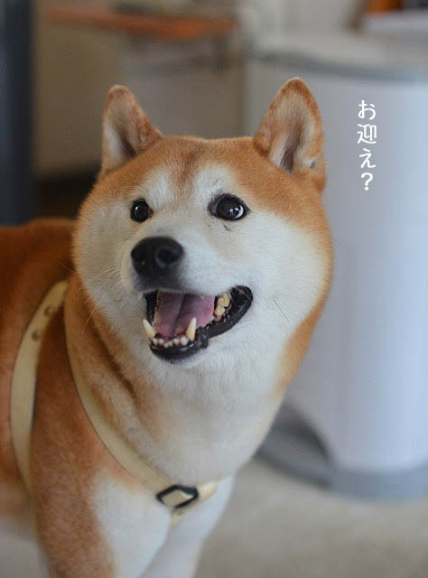 10日ブログ4