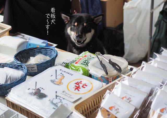 29日ブログ5