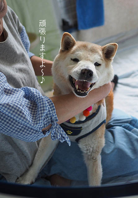 17日ブログ8
