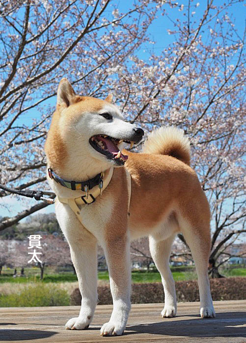 4日午後ブログ９