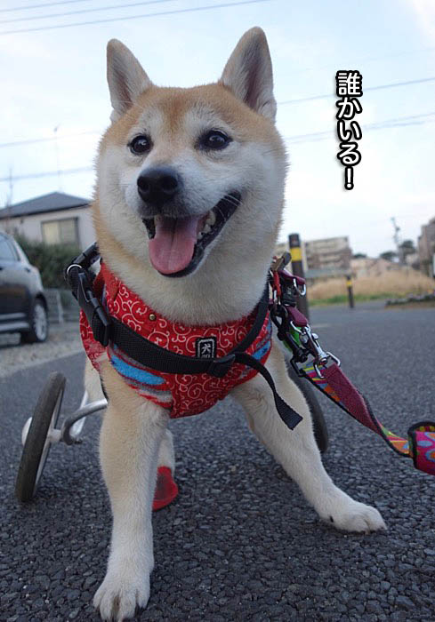 1日午後ブログ２