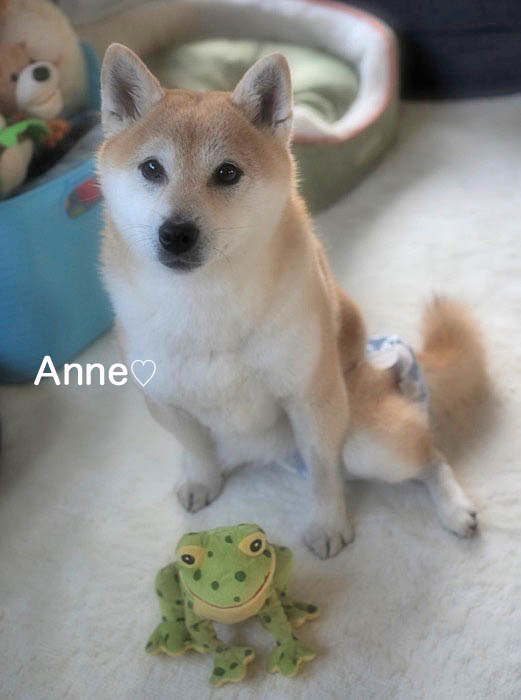 6日ブログ1