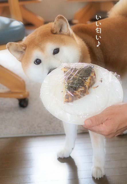 27日ブログ5