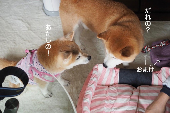 7日ブログ6