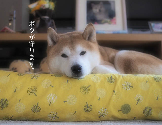 11日ブログ3
