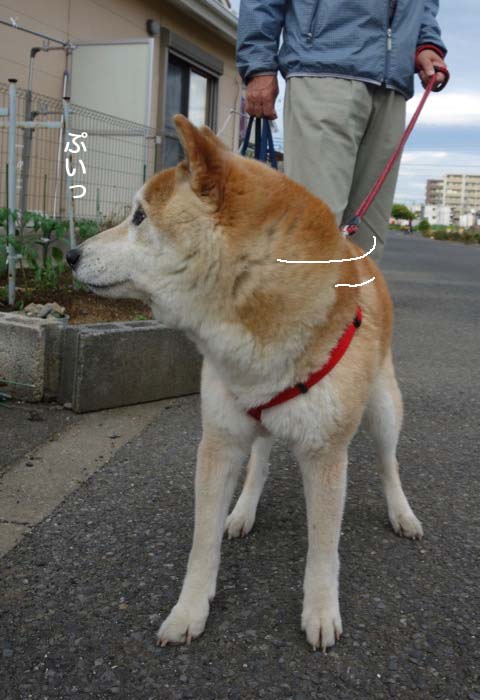 11日夕ブログ３