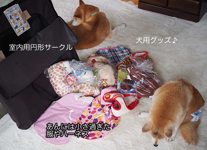 13日ブログ２
